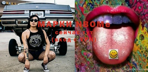стаф Кинешма
