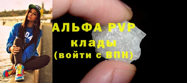 ГАЛЛЮЦИНОГЕННЫЕ ГРИБЫ Касимов