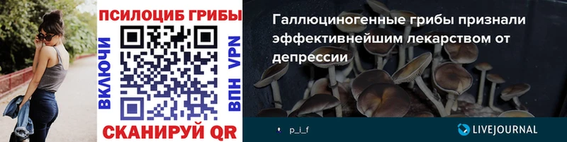 Псилоцибиновые грибы GOLDEN TEACHER  Купить где  Обоянь 
