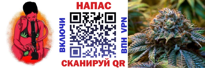 Бошки марихуана план  Купить закладки  Обоянь 